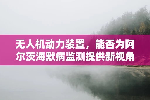 无人机动力装置，能否为阿尔茨海默病监测提供新视角？