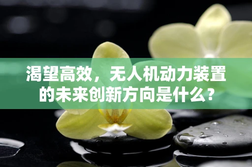渴望高效，无人机动力装置的未来创新方向是什么？