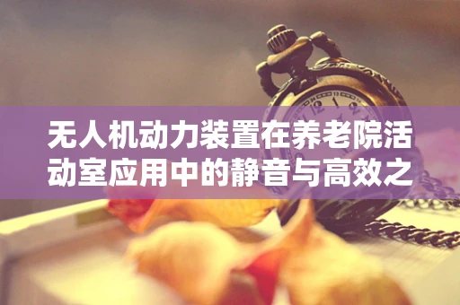 无人机动力装置在养老院活动室应用中的静音与高效之谜