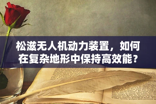 松滋无人机动力装置，如何在复杂地形中保持高效能？