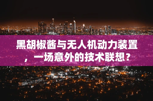 黑胡椒酱与无人机动力装置，一场意外的技术联想？