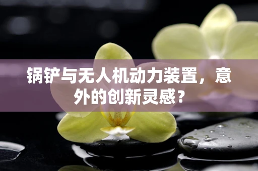 锅铲与无人机动力装置，意外的创新灵感？