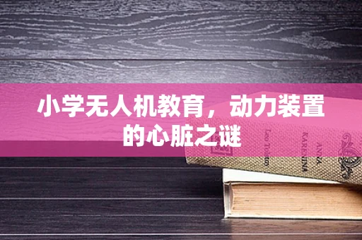 小学无人机教育，动力装置的心脏之谜
