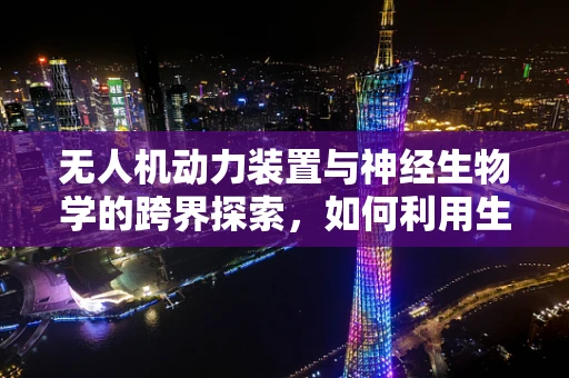 无人机动力装置与神经生物学的跨界探索，如何利用生物启发的神经网络优化飞行控制？