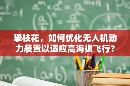 攀枝花，如何优化无人机动力装置以适应高海拔飞行？