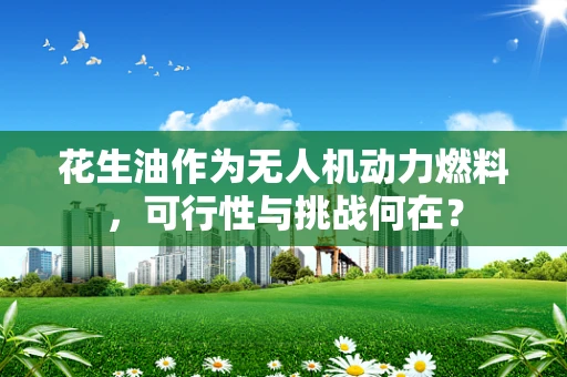 花生油作为无人机动力燃料，可行性与挑战何在？