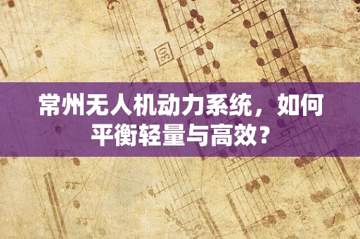 常州无人机动力系统，如何平衡轻量与高效？