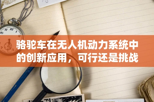 骆驼车在无人机动力系统中的创新应用，可行还是挑战？
