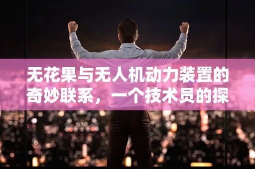 无花果与无人机动力装置的奇妙联系，一个技术员的探索