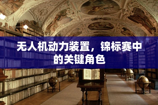 无人机动力装置，锦标赛中的关键角色