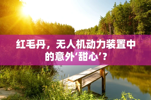 红毛丹，无人机动力装置中的意外‘甜心’？