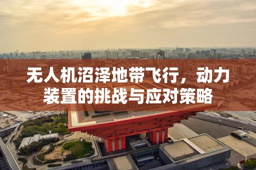 无人机沼泽地带飞行，动力装置的挑战与应对策略