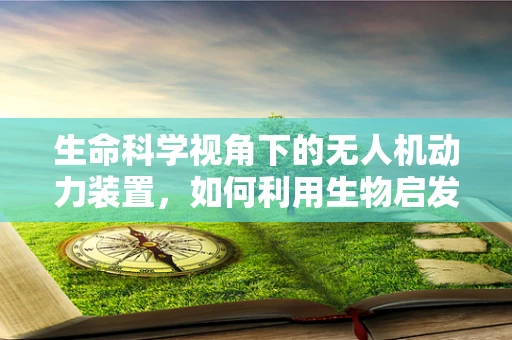 生命科学视角下的无人机动力装置，如何利用生物启发的能源解决方案？