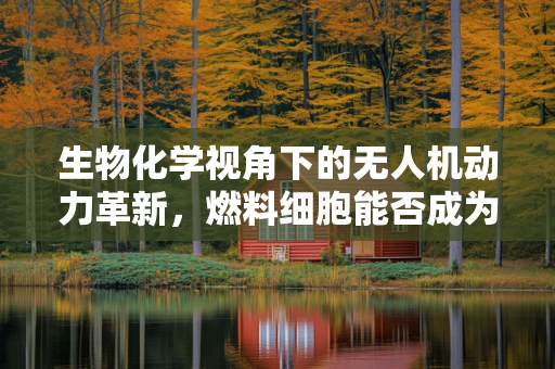 生物化学视角下的无人机动力革新，燃料细胞能否成为未来之选？
