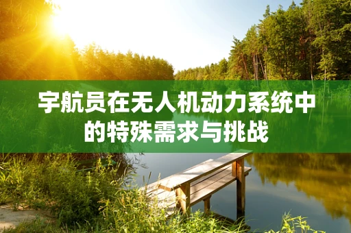 宇航员在无人机动力系统中的特殊需求与挑战