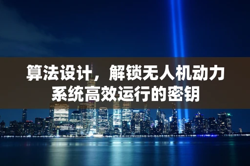 算法设计，解锁无人机动力系统高效运行的密钥