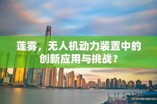 莲雾，无人机动力装置中的创新应用与挑战？