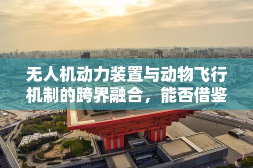 无人机动力装置与动物飞行机制的跨界融合，能否借鉴鸟类飞行原理提升效率？