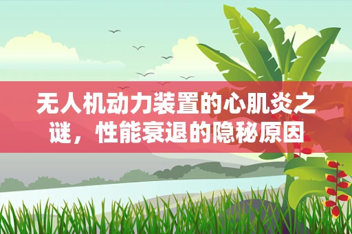 无人机动力装置的心肌炎之谜，性能衰退的隐秘原因