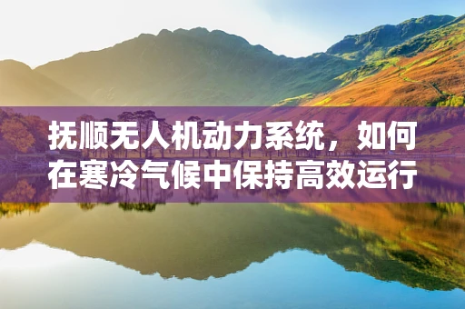 抚顺无人机动力系统，如何在寒冷气候中保持高效运行？