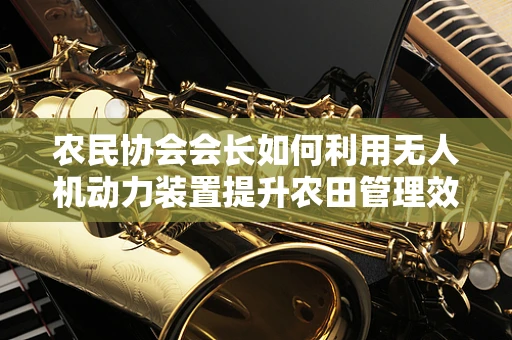 农民协会会长如何利用无人机动力装置提升农田管理效率？