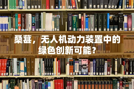 桑葚，无人机动力装置中的绿色创新可能？