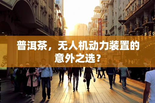 普洱茶，无人机动力装置的意外之选？