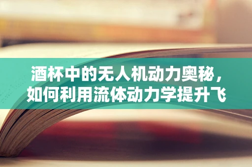 酒杯中的无人机动力奥秘，如何利用流体动力学提升飞行效率？