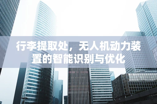 行李提取处，无人机动力装置的智能识别与优化
