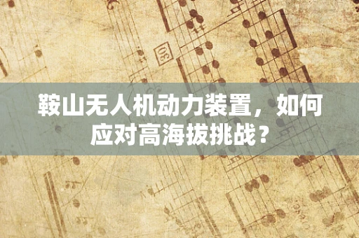 鞍山无人机动力装置，如何应对高海拔挑战？
