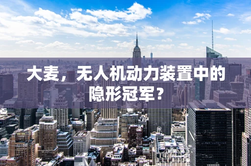 大麦，无人机动力装置中的隐形冠军？