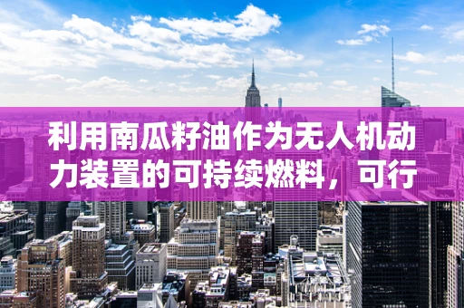 利用南瓜籽油作为无人机动力装置的可持续燃料，可行性与挑战？