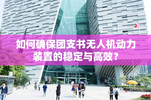 如何确保团支书无人机动力装置的稳定与高效？