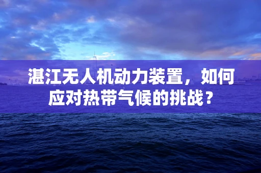 湛江无人机动力装置，如何应对热带气候的挑战？