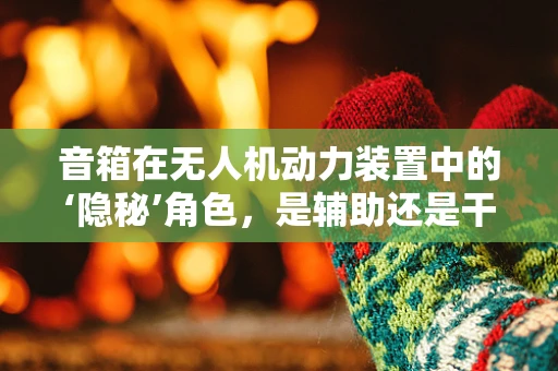 音箱在无人机动力装置中的‘隐秘’角色，是辅助还是干扰？