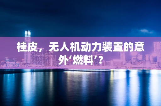 桂皮，无人机动力装置的意外‘燃料’？