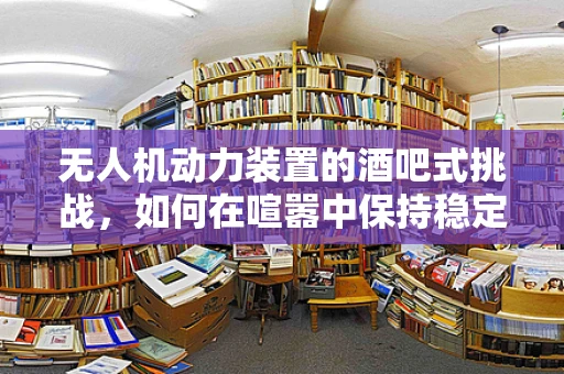 无人机动力装置的酒吧式挑战，如何在喧嚣中保持稳定？