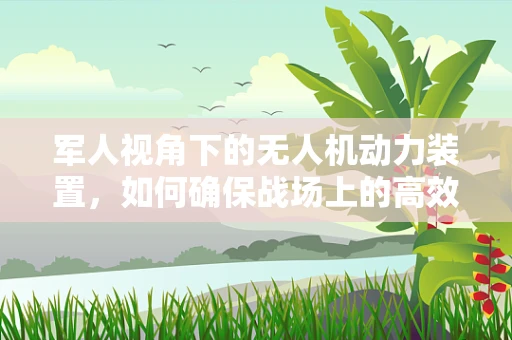 军人视角下的无人机动力装置，如何确保战场上的高效与安全？