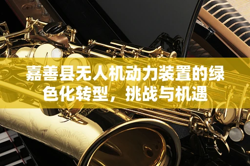 嘉善县无人机动力装置的绿色化转型，挑战与机遇
