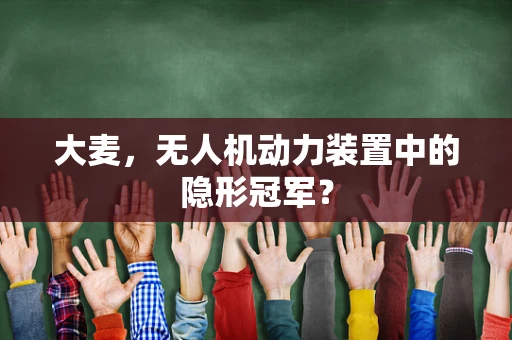 大麦，无人机动力装置中的隐形冠军？