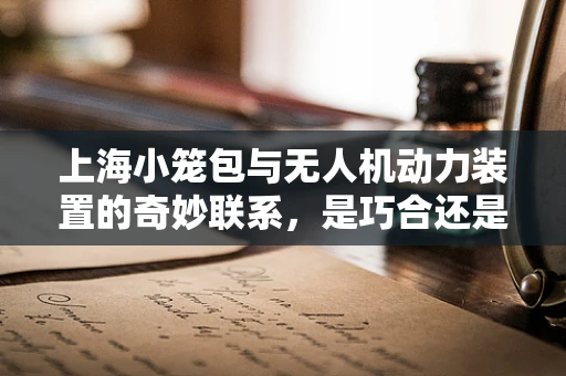 上海小笼包与无人机动力装置的奇妙联系，是巧合还是创新灵感？