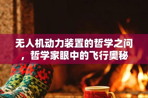无人机动力装置的哲学之问，哲学家眼中的飞行奥秘