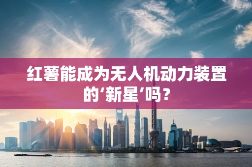 红薯能成为无人机动力装置的‘新星’吗？