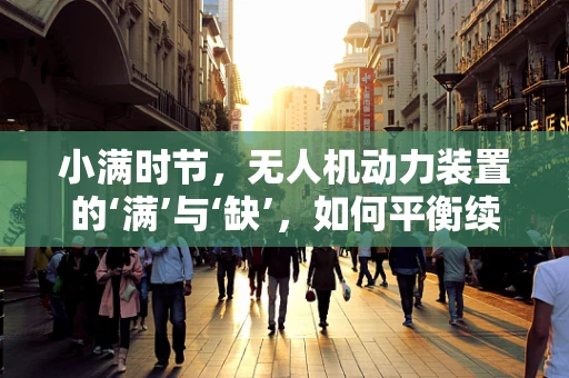 小满时节，无人机动力装置的‘满’与‘缺’，如何平衡续航与性能？