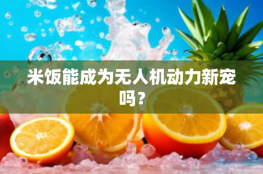 米饭能成为无人机动力新宠吗？