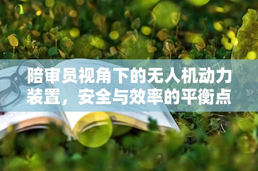 陪审员视角下的无人机动力装置，安全与效率的平衡点何在？