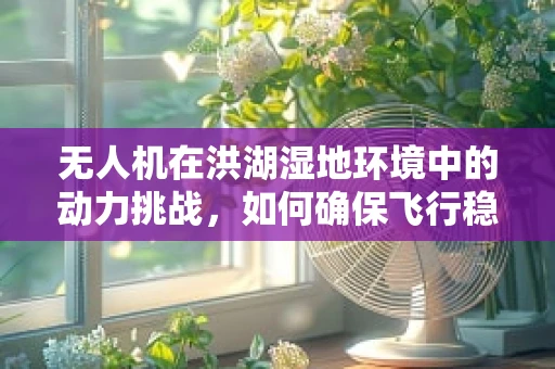 无人机在洪湖湿地环境中的动力挑战，如何确保飞行稳定与续航？