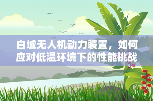 白城无人机动力装置，如何应对低温环境下的性能挑战？