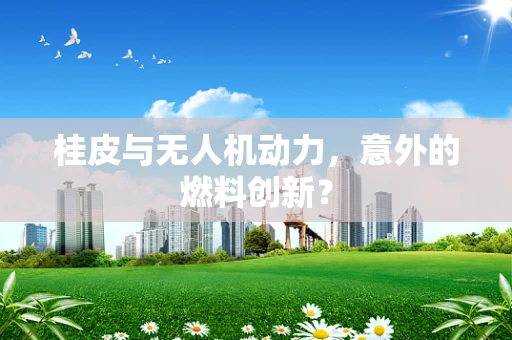 桂皮与无人机动力，意外的燃料创新？