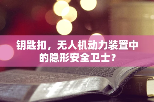 钥匙扣，无人机动力装置中的隐形安全卫士？